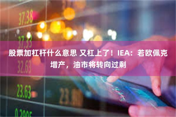 股票加杠杆什么意思 又杠上了！IEA：若欧佩克增产，油市将转向过剩