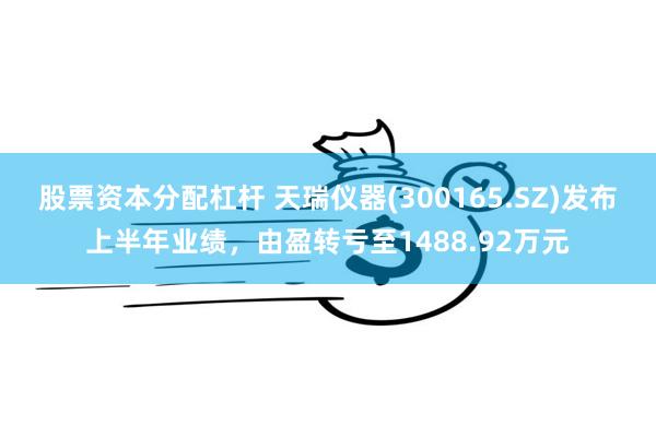 股票资本分配杠杆 天瑞仪器(300165.SZ)发布上半年业绩，由盈转亏至1488.92万元