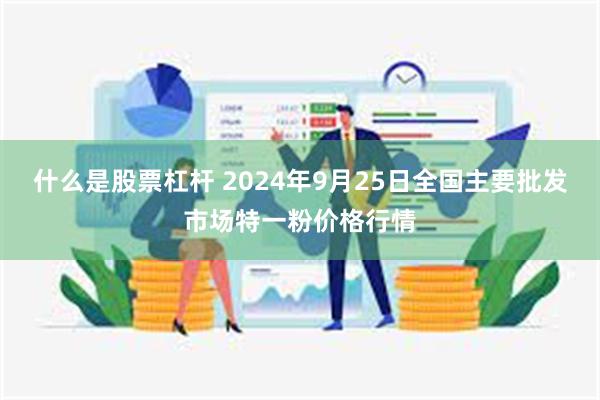 什么是股票杠杆 2024年9月25日全国主要批发市场特一粉价格行情