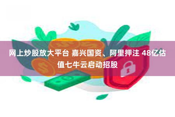 网上炒股放大平台 嘉兴国资、阿里押注 48亿估值七牛云启动招股
