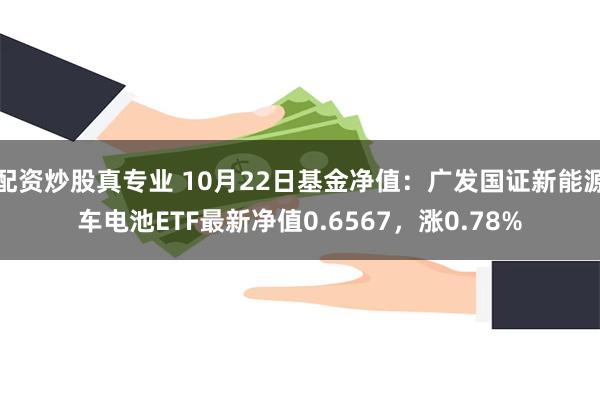 配资炒股真专业 10月22日基金净值：广发国证新能源车电池ETF最新净值0.6567，涨0.78%