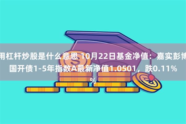 用杠杆炒股是什么意思 10月22日基金净值：嘉实彭博国开债1-5年指数A最新净值1.0501，跌0.11%