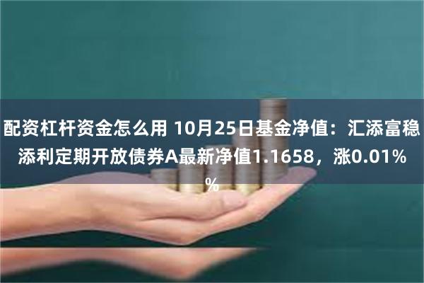 配资杠杆资金怎么用 10月25日基金净值：汇添富稳添利定期开放债券A最新净值1.1658，涨0.01%