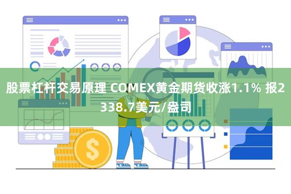 股票杠杆交易原理 COMEX黄金期货收涨1.1% 报2338.7美元/盎司
