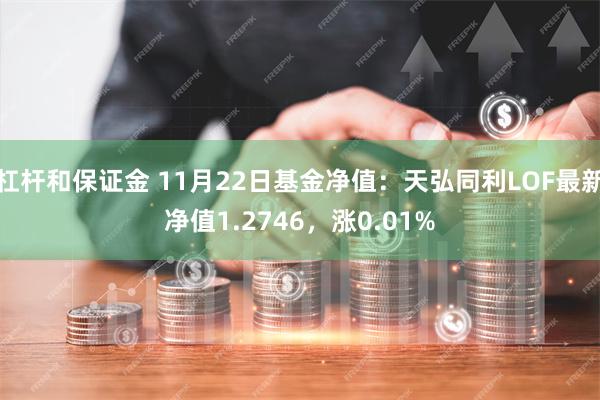 杠杆和保证金 11月22日基金净值：天弘同利LOF最新净值1.2746，涨0.01%