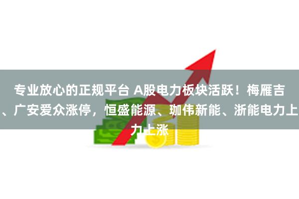 专业放心的正规平台 A股电力板块活跃！梅雁吉祥、广安爱众涨停，恒盛能源、珈伟新能、浙能电力上涨