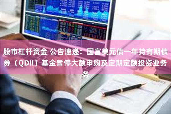 股市杠杆资金 公告速递：国富美元债一年持有期债券（QDII）基金暂停大额申购及定期定额投资业务