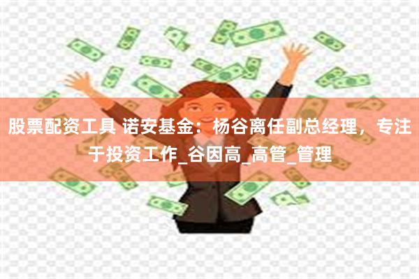 股票配资工具 诺安基金：杨谷离任副总经理，专注于投资工作_谷因高_高管_管理