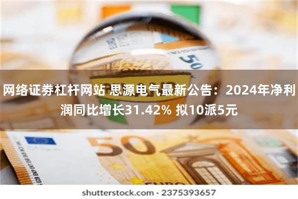 网络证劵杠杆网站 思源电气最新公告：2024年净利润同比增长