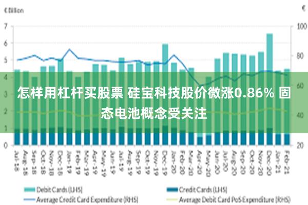 怎样用杠杆买股票 硅宝科技股价微涨0.86% 固态电池概念受