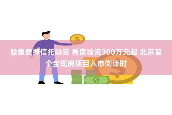 股票质押信托融资 看房验资300万元起 北京首个全现房项目入