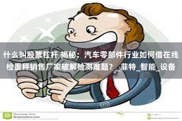 什么叫股票杠杆 揭秘：汽车零部件行业如何借在线检重秤销售厂家