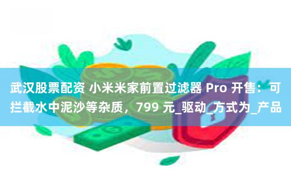 武汉股票配资 小米米家前置过滤器 Pro 开售：可拦截水中泥